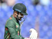 新鹏城的意 新鹏城的意